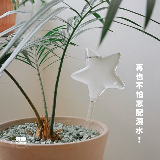 自動給水仙女棒